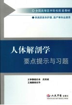 人体解剖学要点提示与习题