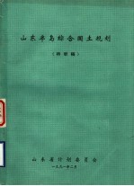 山东半岛综合国土规划 待审稿