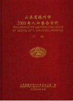 山东省德州市2000年人口普查资料 下