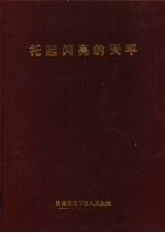 托起闪亮的天平：山东省济南市历下区人民法院巡礼