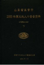 山东省东营市2000年第五次人口普查资料 计算机汇总 下