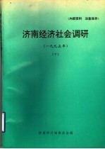 济南经济社会调研 1995年 下