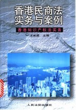 香港民商法实务与案例 香港知识产权法实务