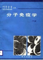 分子免疫学（下册）