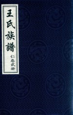 王氏族谱 仁卷2册