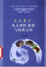 文化魔力 从人到群 族群与民族之间