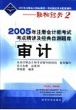 2005年注册会计师考试考点精讲及经典自测题库 审计