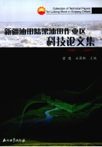 新疆油田陆梁油田作业区科技论文集 2001-2009年