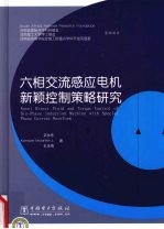 六相交流感应电机新颖控制策略研究