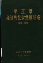 枣庄市经济和社会发展战略 1990-1999