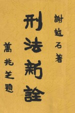 刑法新诠