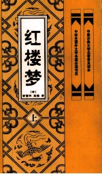 中国古典文学名著普及读本 红楼梦 上