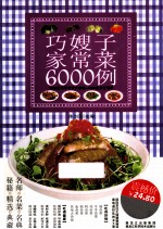 巧嫂子家常菜6000例