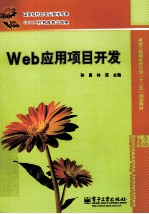 Web应用项目开发