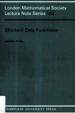 Shintani Zeta Functions