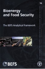 ENVIRONMENT AND NATURAL RESOURCES MANAGEMENT WORKING PAPER 16:BIOENERGY AND FOOD SECURITY THE BEFS A