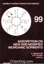 ADSORPTION ON NEW AND MODIFIED INORGANIC SORBENTS