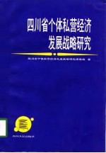 四川省个体私营经济发展战略研究