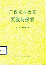 广西农村改革实践与探索