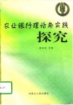 农业银行理论与实践探究