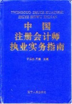 中国注册会计师执业实务指南