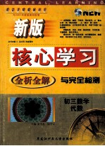 新版核心学习全析全解与完全检测 初三数学 代数