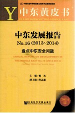 中东发展报告 No.16 2013-2014 盘点中东安全问题