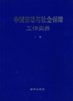 中国劳动与社会保障工作实务 上