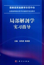 局部解剖学实习指导