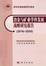 2016-2020冶金与矿业学科发展战略研究报告