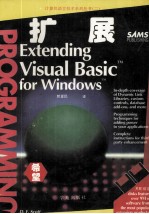 扩展Visual Basic for Windows