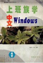 上班族学中文Windows