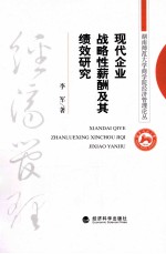 现代企业战略性薪酬及其绩效研究