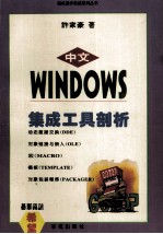 中文Windows集成工具剖析