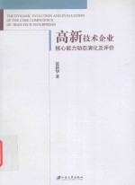 高新技术企业核心能力动态演化及评价