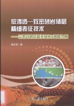 低渗透-致密砂岩储层精细表征技术 以志丹地区延长组长6油层为例