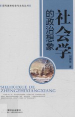 现代城市社会与文化丛书  社会学的政治想象