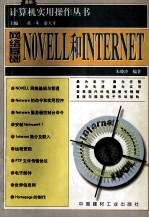 网络基础-Novell和Internet