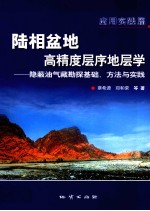 陆相盆地高精度层序地层学 隐蔽油气藏勘探基础、方法与实践 应用实践篇