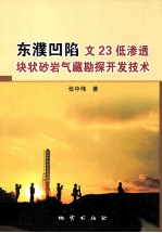 东濮凹陷文23低渗透块状砂岩气藏勘探开发技术