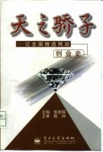 天之骄子 记全国精选网站创业史