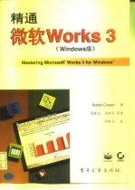 精通微软Works3 Windows版