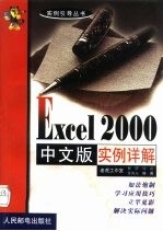 Excel 2000中文版实例详解