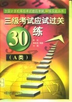 三级考试应试过关30练 A类