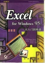 Excel for Windows 95从入门到精通 第3版