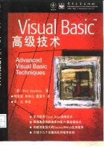 Visual Basic高级技术