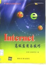 Internet高级应用与技巧