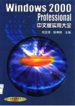 Windows 2000 Professional中文版实用大全