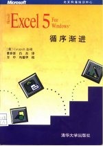 Microsoft Excel 5 for Windows 循序渐进