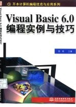 Visual Basic 6.0编程实例与技巧